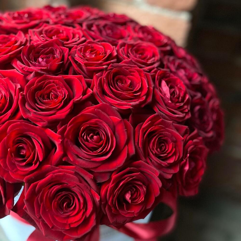 Букет из 51 красной розы в дизайнерской коробке 