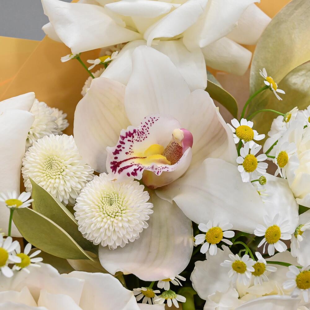 ромашкой и тюльпаном ромашкой и тюльпаном